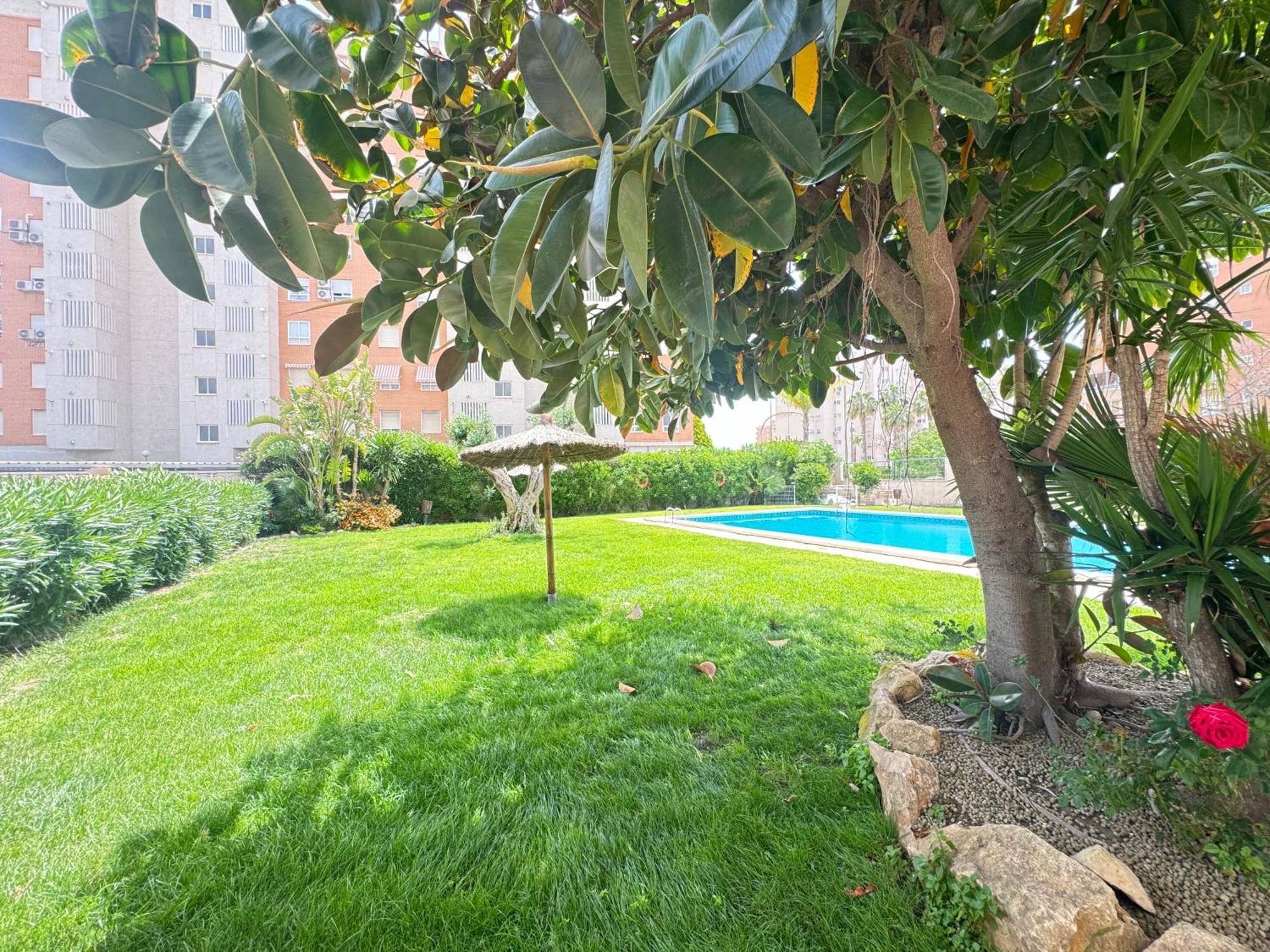Estudio Con Piscina Аликанте Экстерьер фото